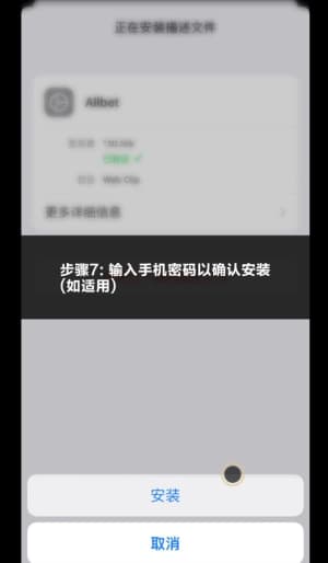 苹果官方TestFlight测试沙盒受信任证书安装授权演示7